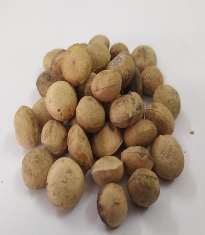 Buy Silk Cotton Tree Gum (raw) / Ilavam Pisin online