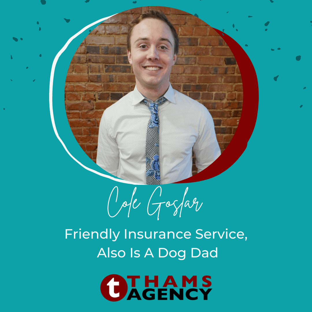 Contact Us Landing Thams Agency