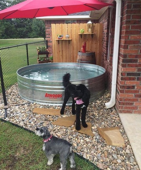 25 Inspiring DogFriendly Backyard Ideas On A Budget