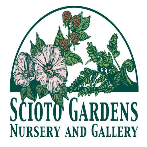 Unveiling Green Sanctuary Exploring the Top 10 Nurseries in Ohio