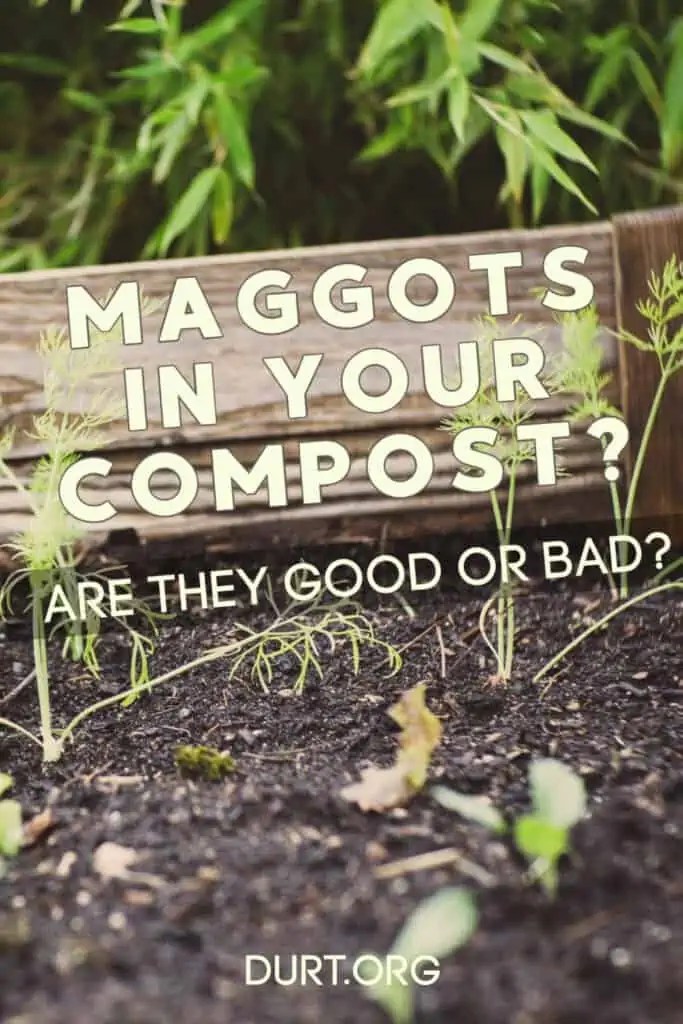 Can You Put Dead Animals In Compost? (Yes, here's how...)