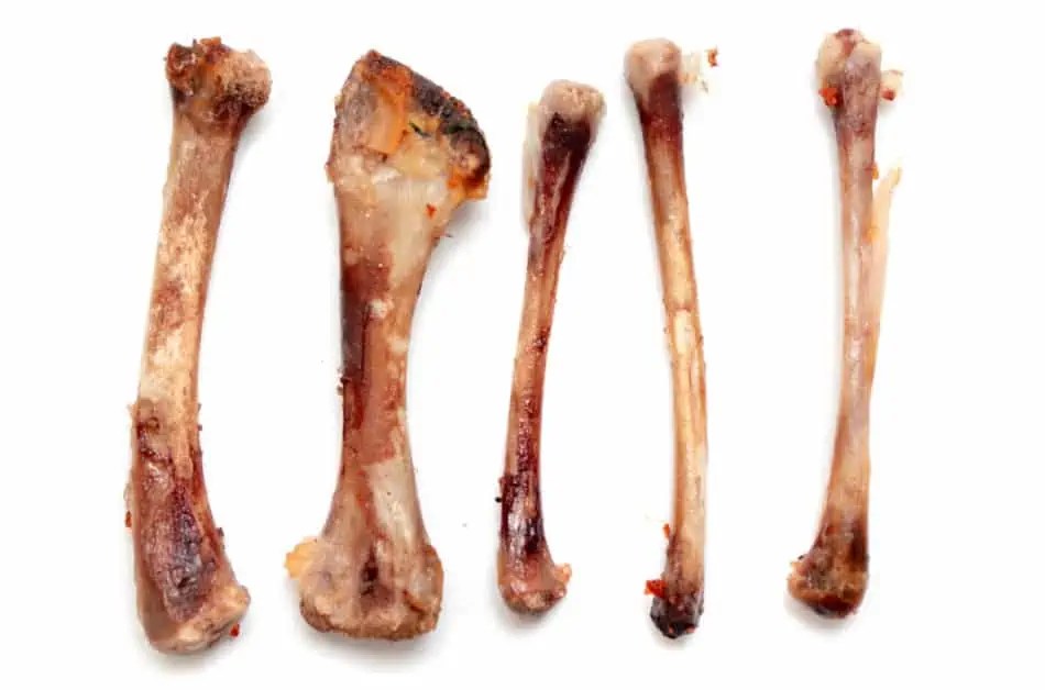Can You Compost Chicken Bones?