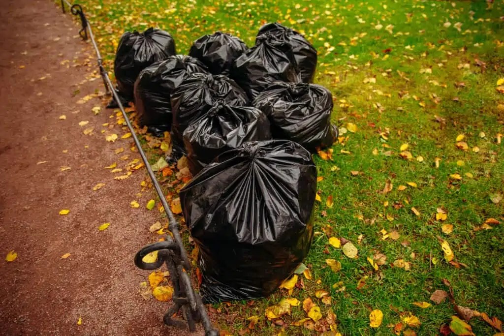 How to Make Leaf Mold Compost (Fastest Methods)