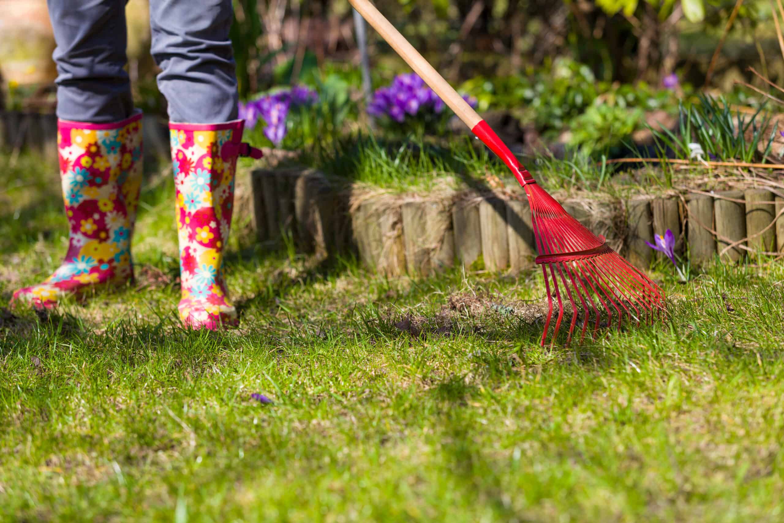 Top Dressing Your Lawn With Compost (Best Time & Method)