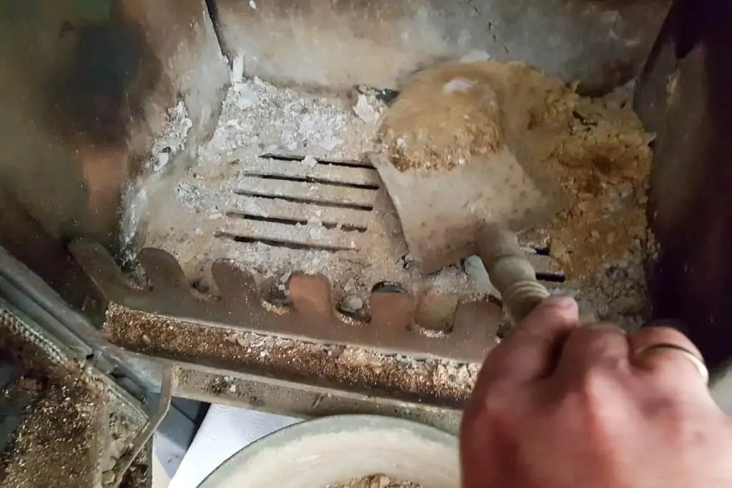 Can I Add Wood Ashes To My Compost? (The Risks and Benefits)