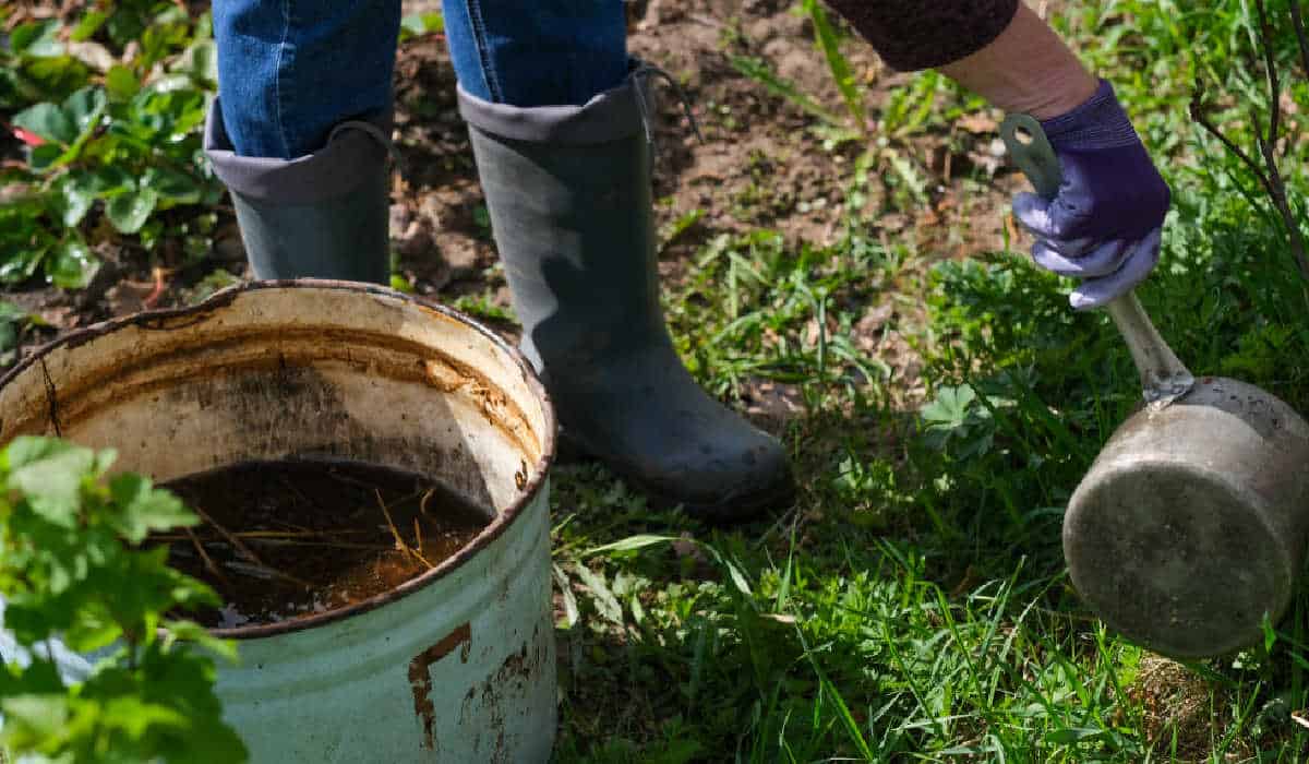 The 4 Types Of Compost Tea (When & How To Use Each One)