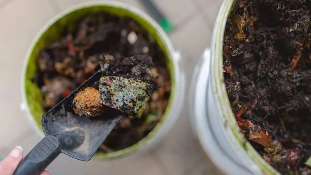 FiveGallon Bucket Composting Guide Steps for Success