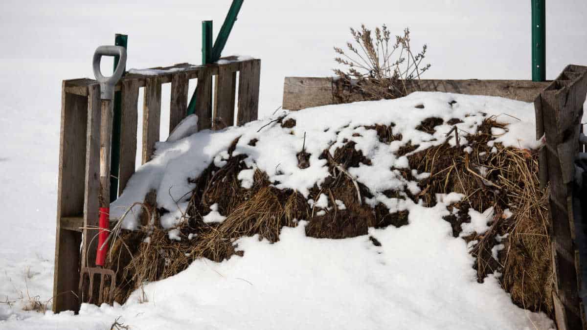 Cold Weather Composting (Keep Your Pile Cooking In Winter)
