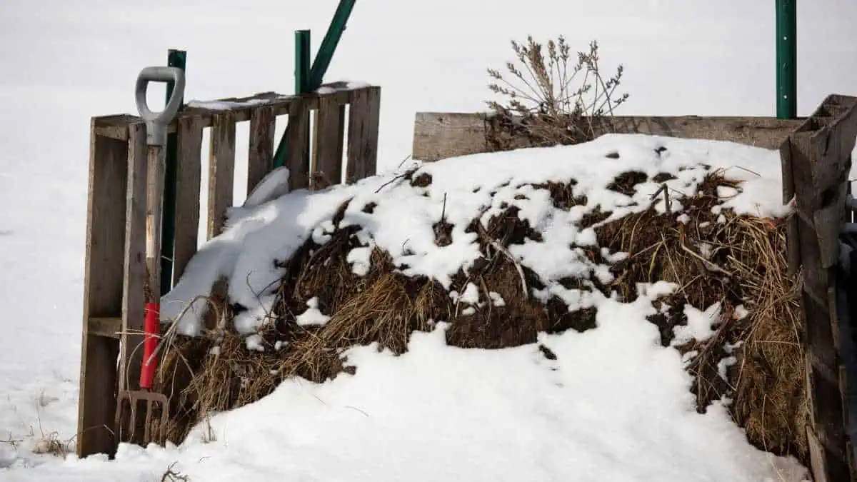 Cold Weather Composting (Keep Your Pile Cooking In Winter)