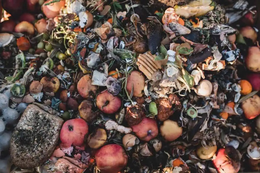 Can Compost Go Bad? (Shelf Life of Your Garden's Gold)
