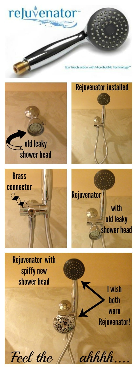 Rejuvenator Microbubble Shower Head — That Bald Chick®