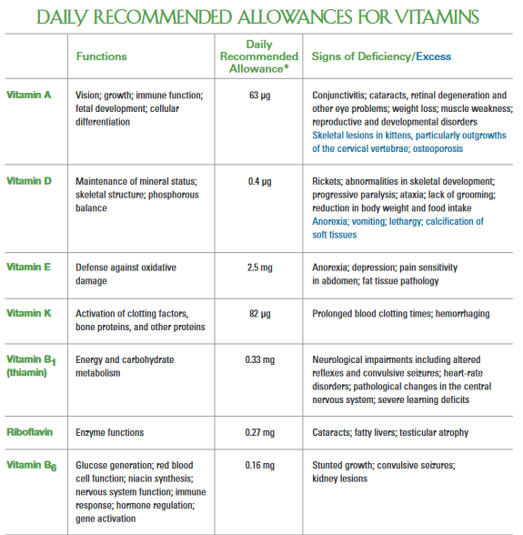 Bengal Cat Food and Diet A [Very Good] Guide That Bengal Cat