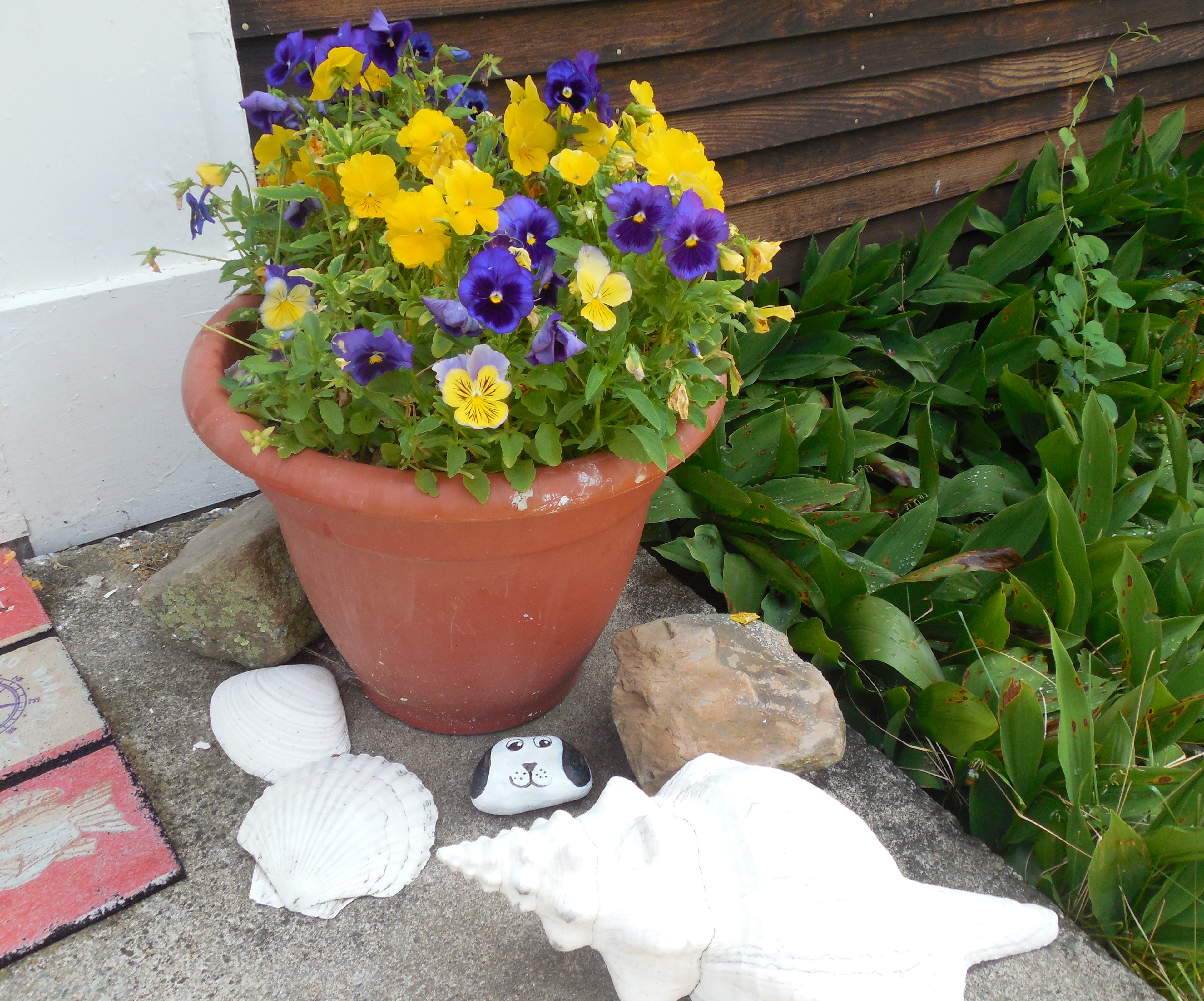 Hibiscus House Gallery That Cape Cod Guy