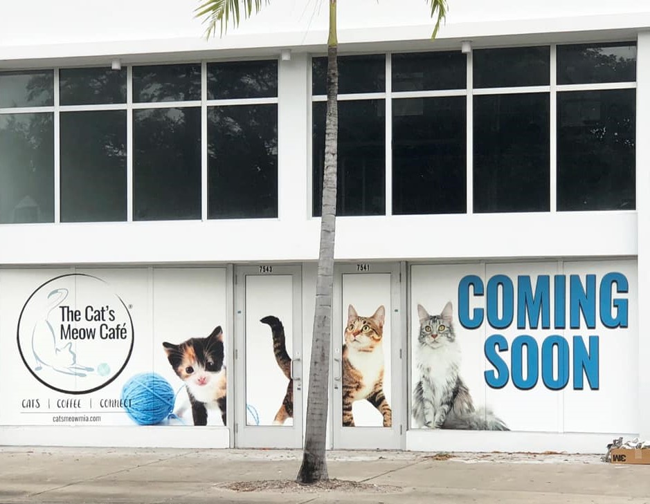 Florida The Cat's Meow Cafe **Opening 2019** That Cat Life