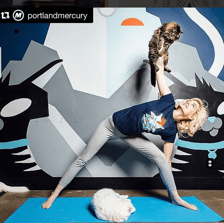 Yoga at Purringtons Cat Cafe That Cat Life