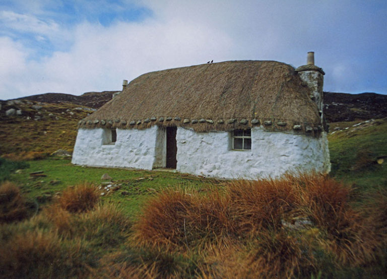 A Beginner’s Guide Thatching