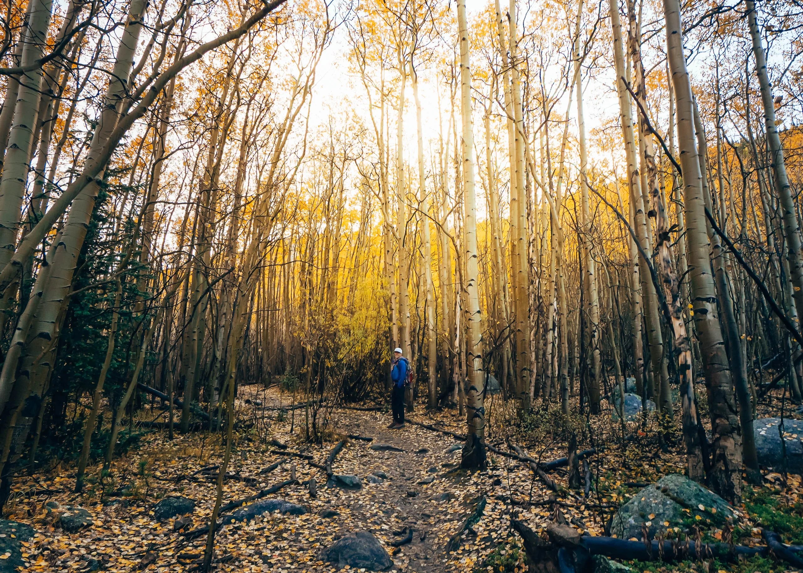20+ Best Fall Activities in Colorado That Colorado Couple
