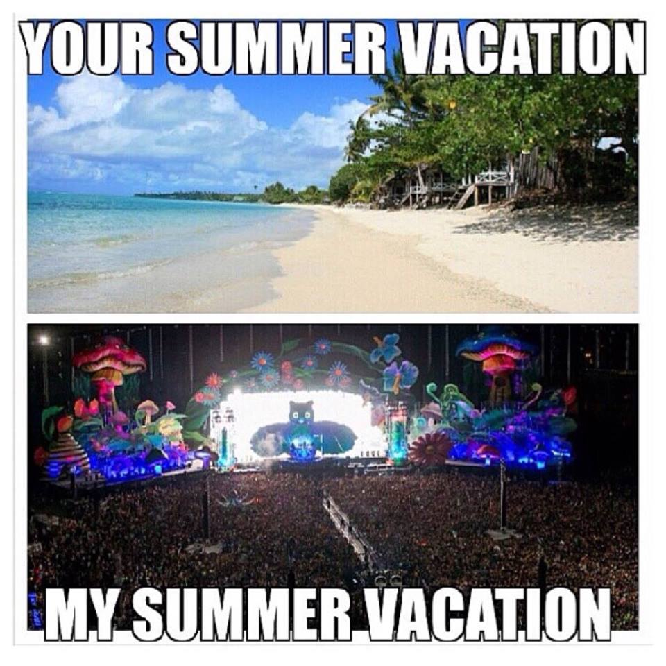 15 of Our Favorite EDM Memes Music Festival Memes