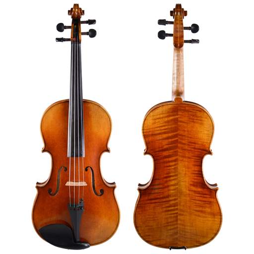 What You Must Know About Violas
