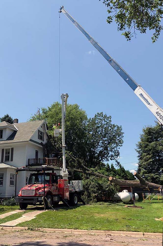 CraneAssisted Tree Removal Thate’s Tree Service Fairmont, MN
