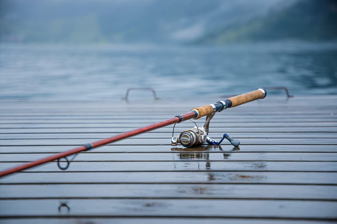 The Best Spinning Rods Of 2022 What Is The Right One For You? ThatFishing