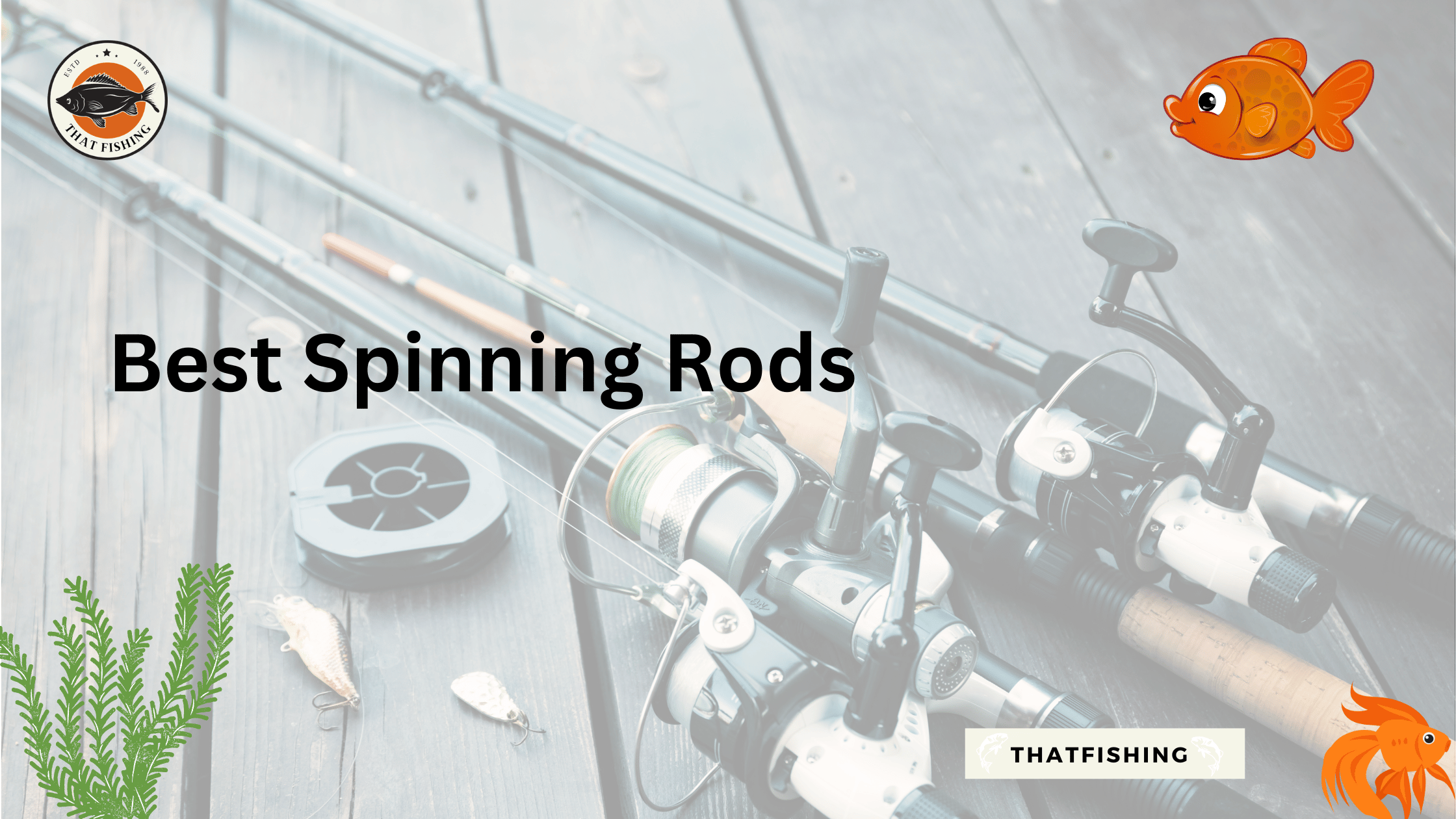 The Best Spinning Rods 2023 What Is The Right One For You