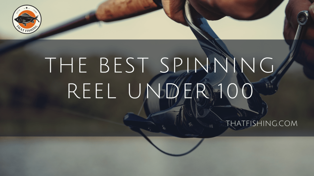 5 Best Spinning Reel Under 100 (Tested & Reviewed)