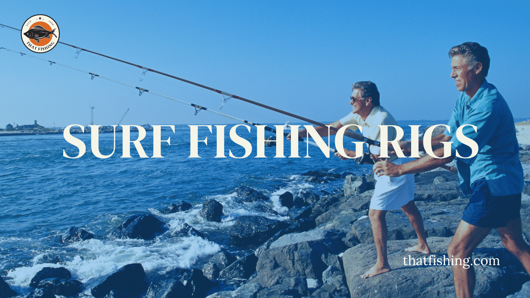 Surf Fishing Rigs Our Top 8 picks In 2023