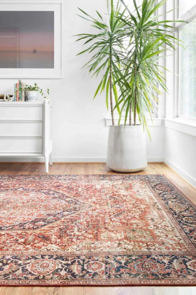 The Best Loloi Rugs You Need In Your Home Right Now