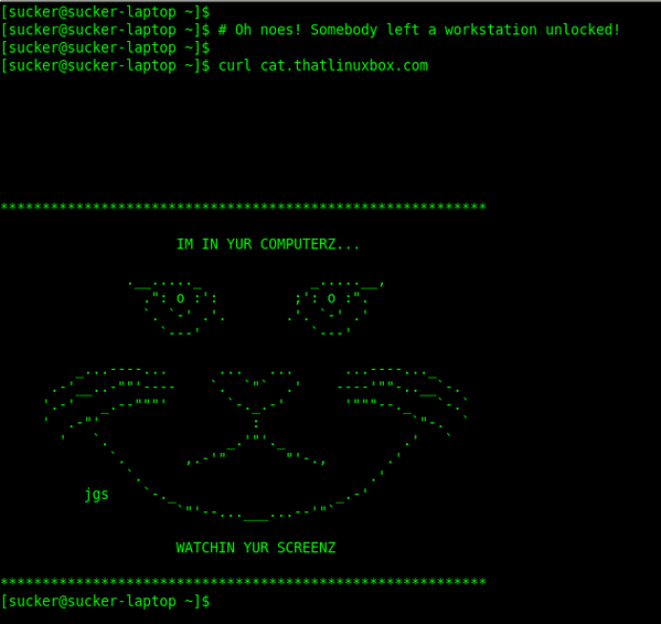 Cat Meme your Console