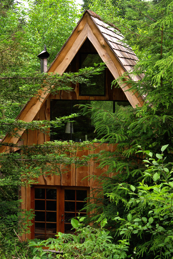 Man Built A Tiny House In Oregon Woods For Only 11,000
