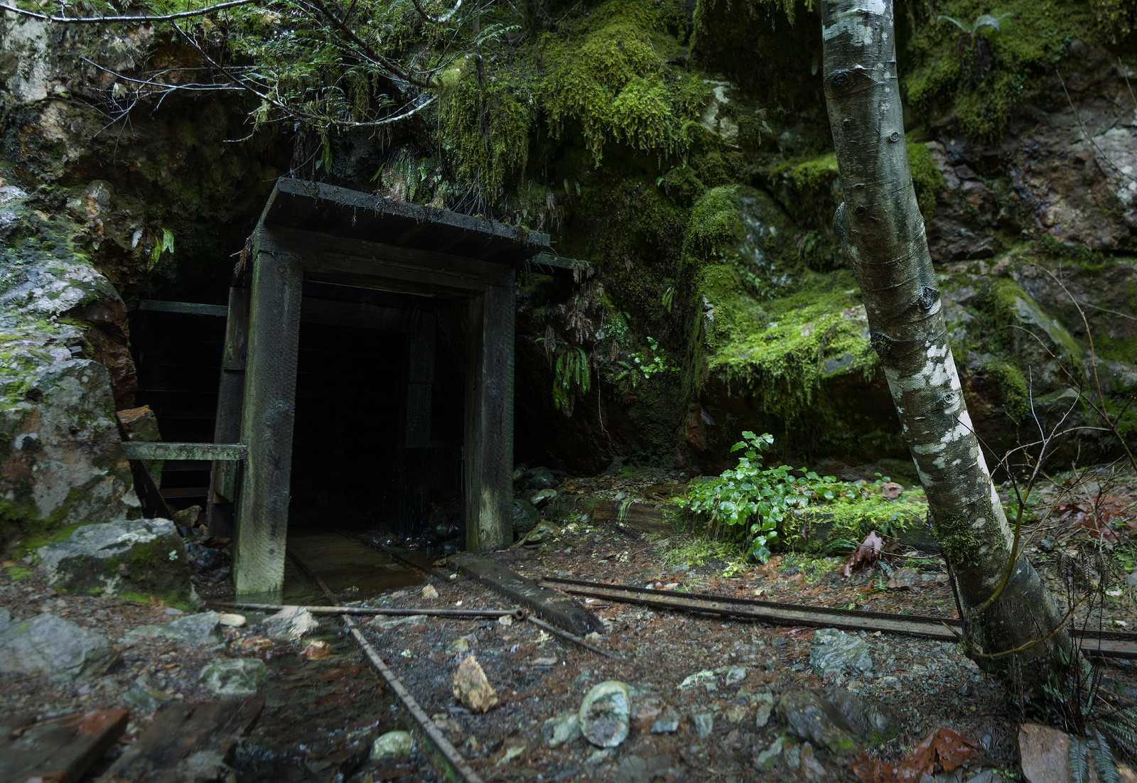 24 Abandoned Places in Oregon That Are Downright Awesome That Oregon Life