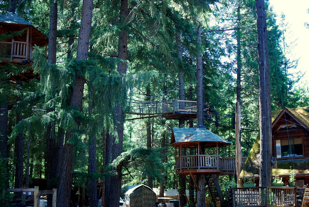 The Most Kickass Oregon Treehouse You've Ever Seen is Right Here That