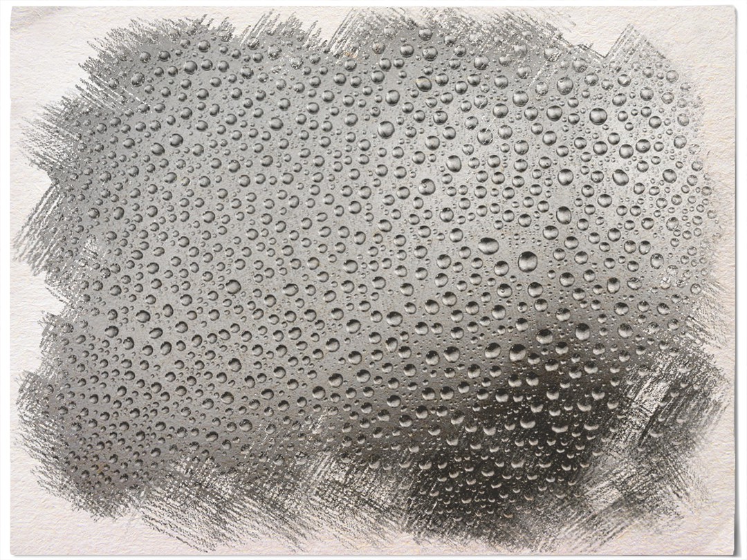 Oven Humidity That's Bread