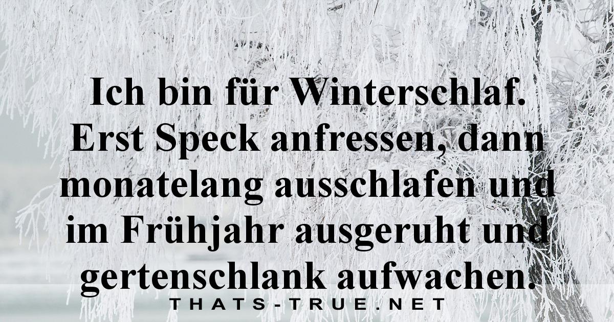 Ich Bin Für Winterschlaf. Erst Speck Anfressen, Dann Monatelang Ausschlafen Und Im Frühjahr Ausgeruh 630_x_1200_jpg
