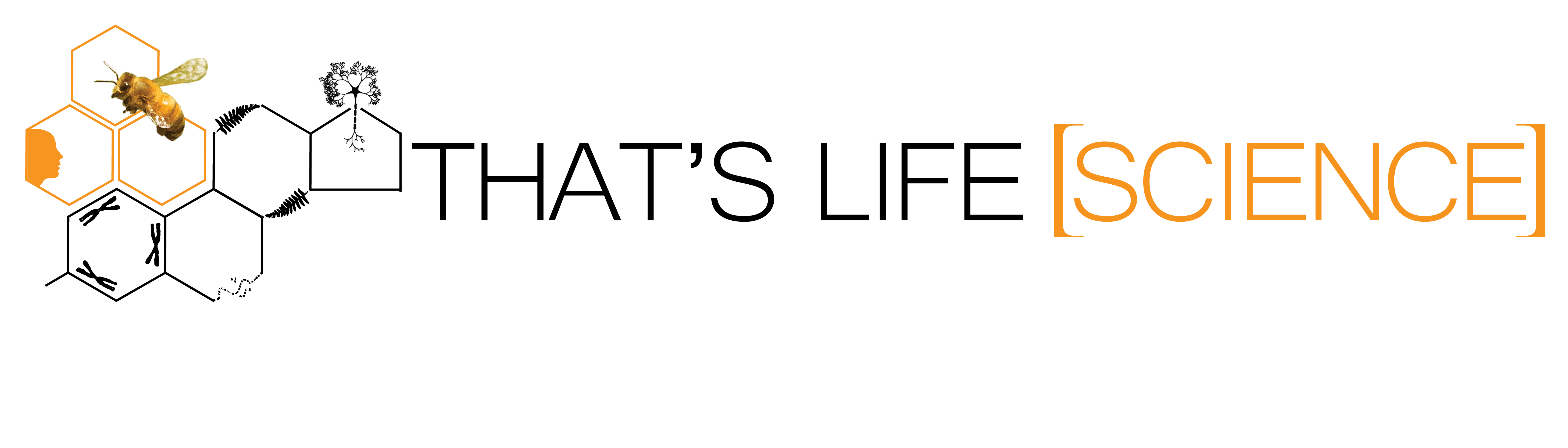 A Guide to Graduate School Interviews