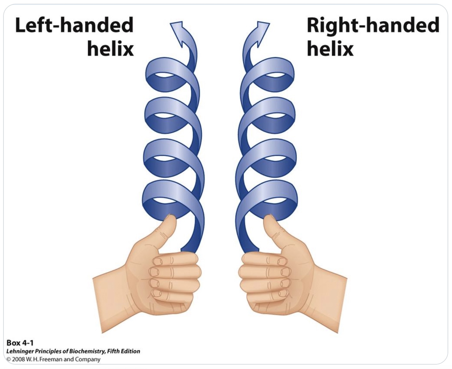 HelicesLhRh ThatsMaths