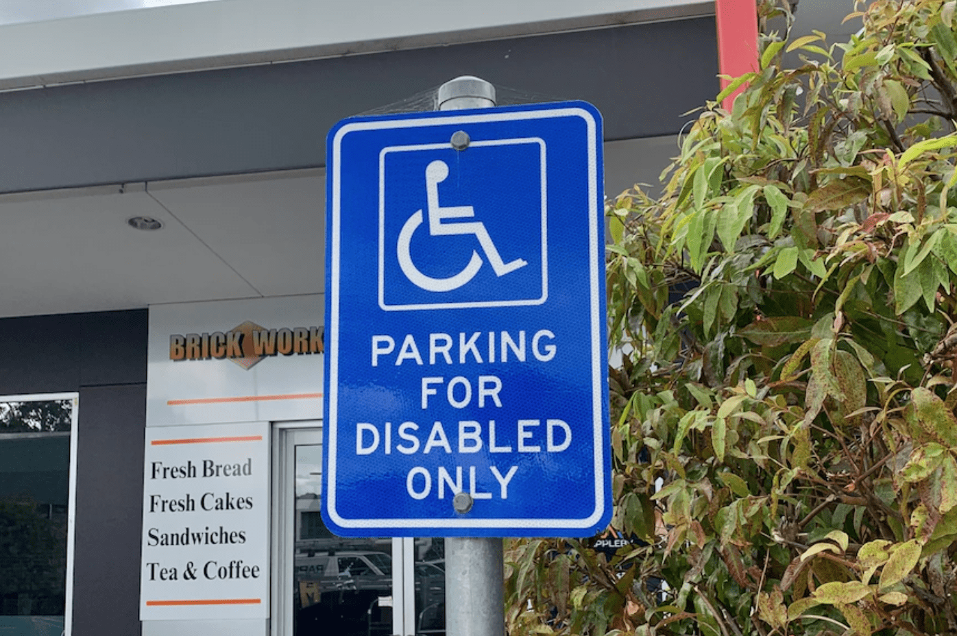 How To Apply For A Disability Parking Permit in NSW That's My Spot