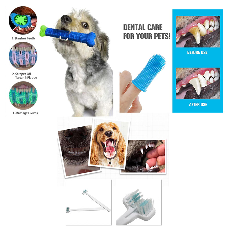Dog Dental Care That's So Fetch!