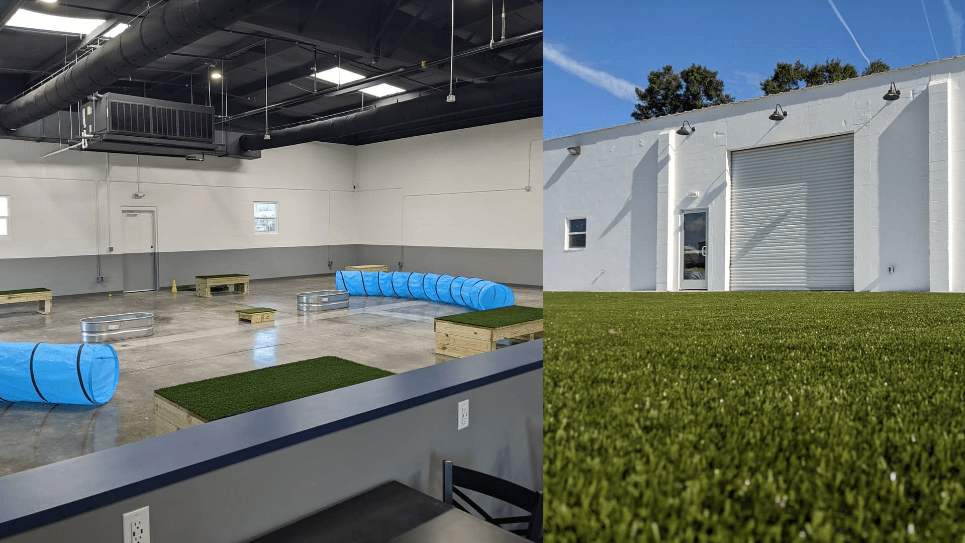 Two Shepherds Taproom, an indoor dog park and bar, opens in Tampa this