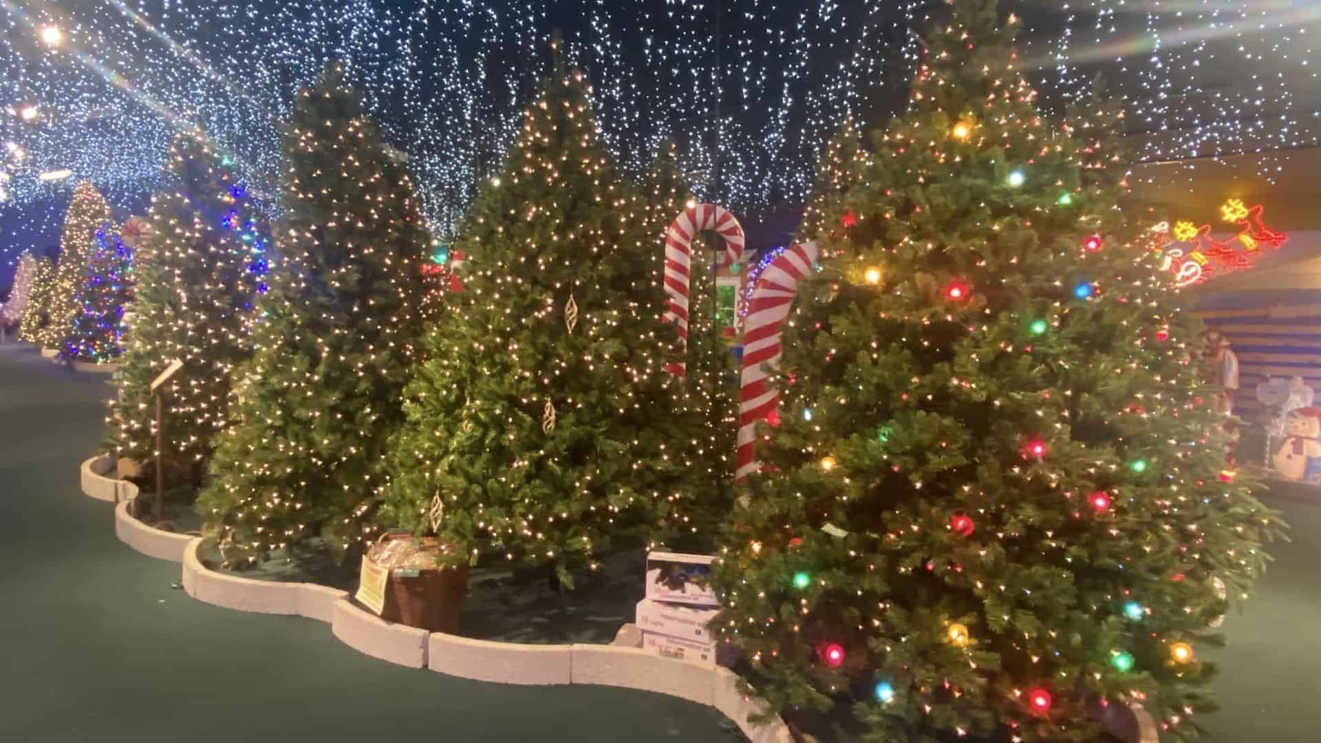 PHOTOS Robert's Christmas Wonderland in Clearwater is a magical year