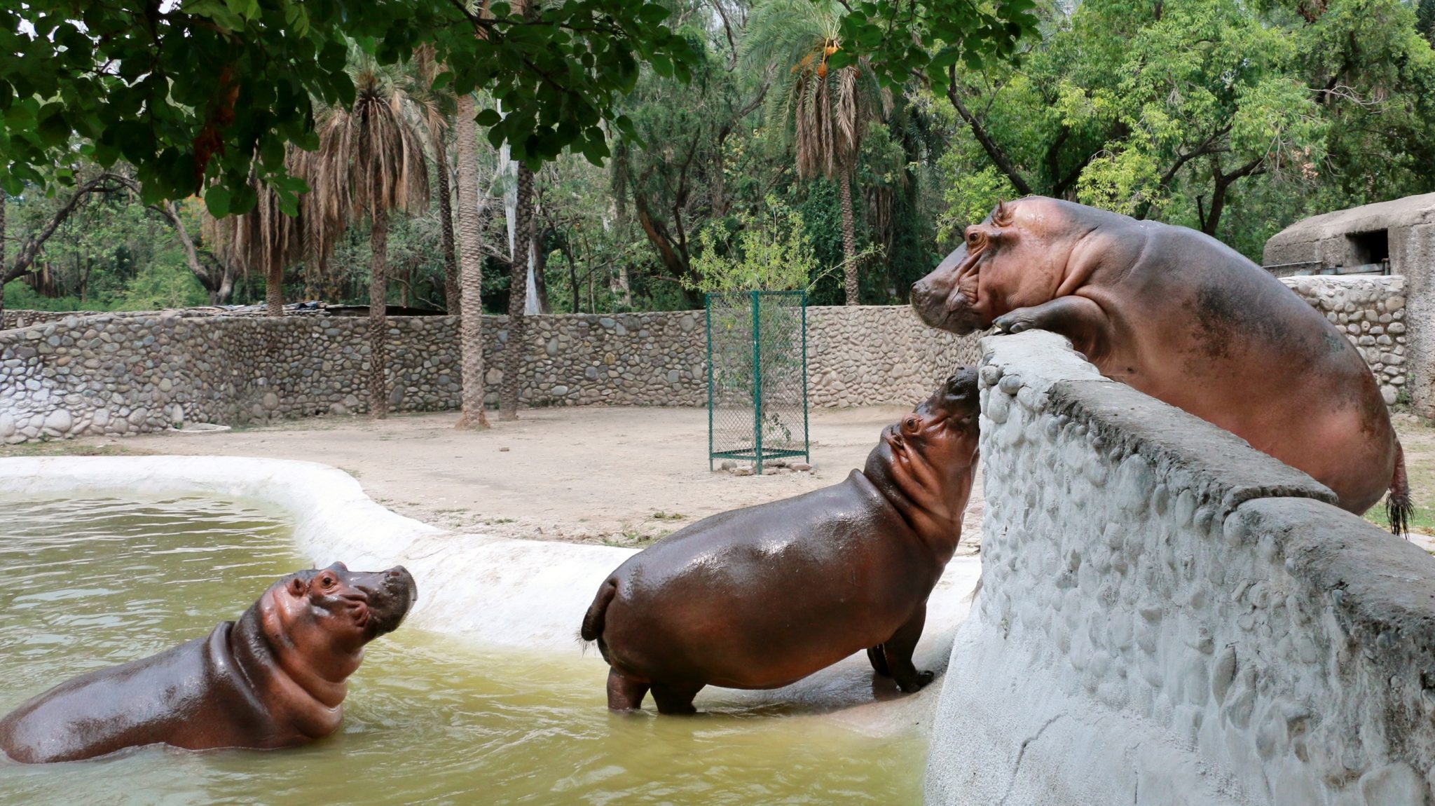 10 Best Places To Visit In Chandigarh, India TSG