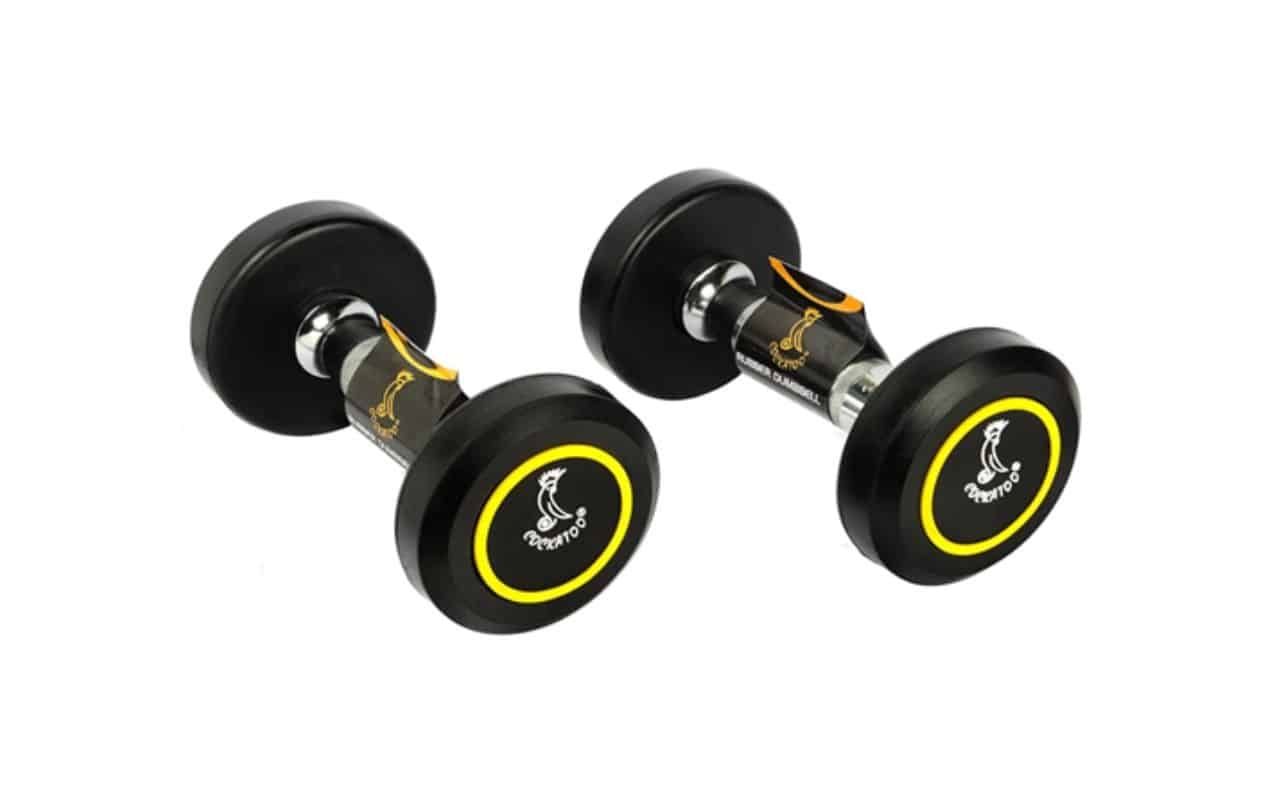 TOP 10 DUMBBELLS IN INDIA