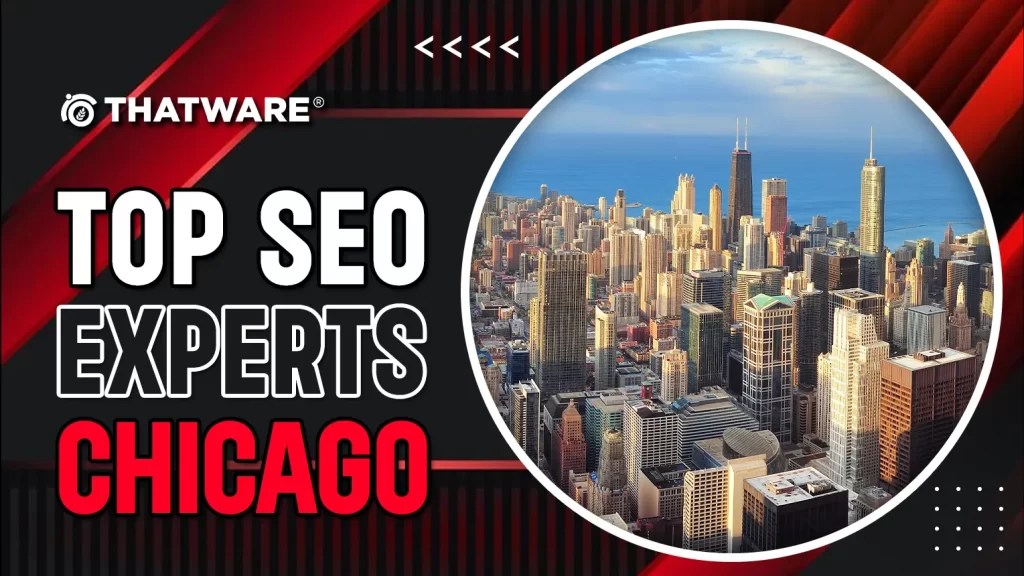 Chicago SEO Services Top Illinois SEO Services Agency(08)