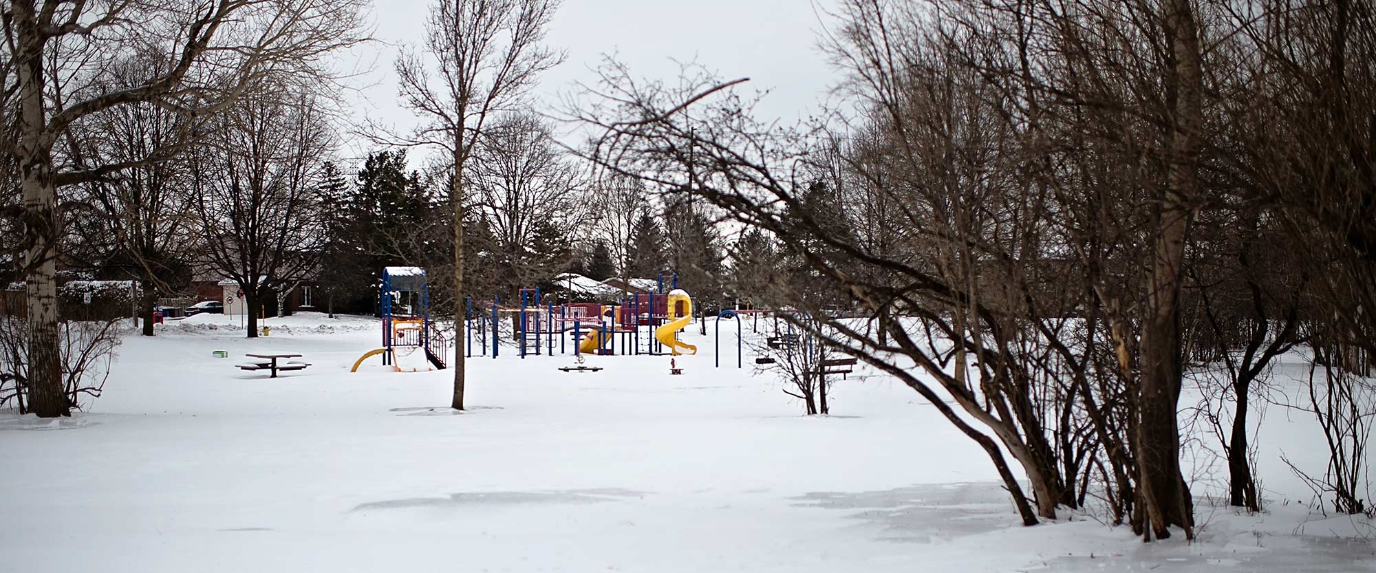 Home · Tanglewood Hillsdale Community Association