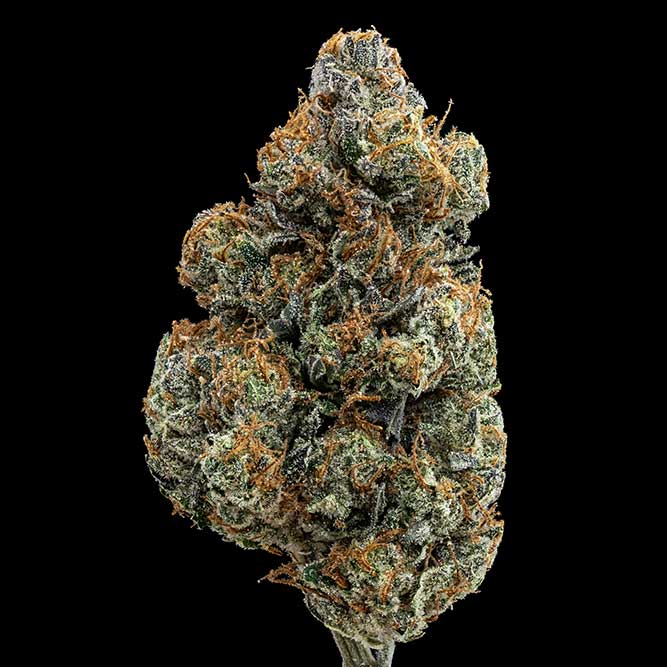 Chemdawg x Super Skunk THC Classic