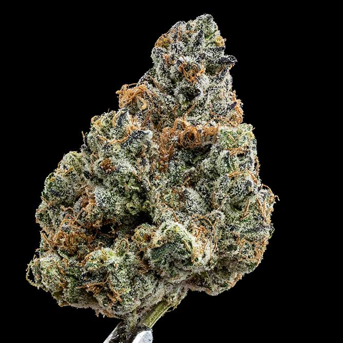 Wedding Cake THC Classic