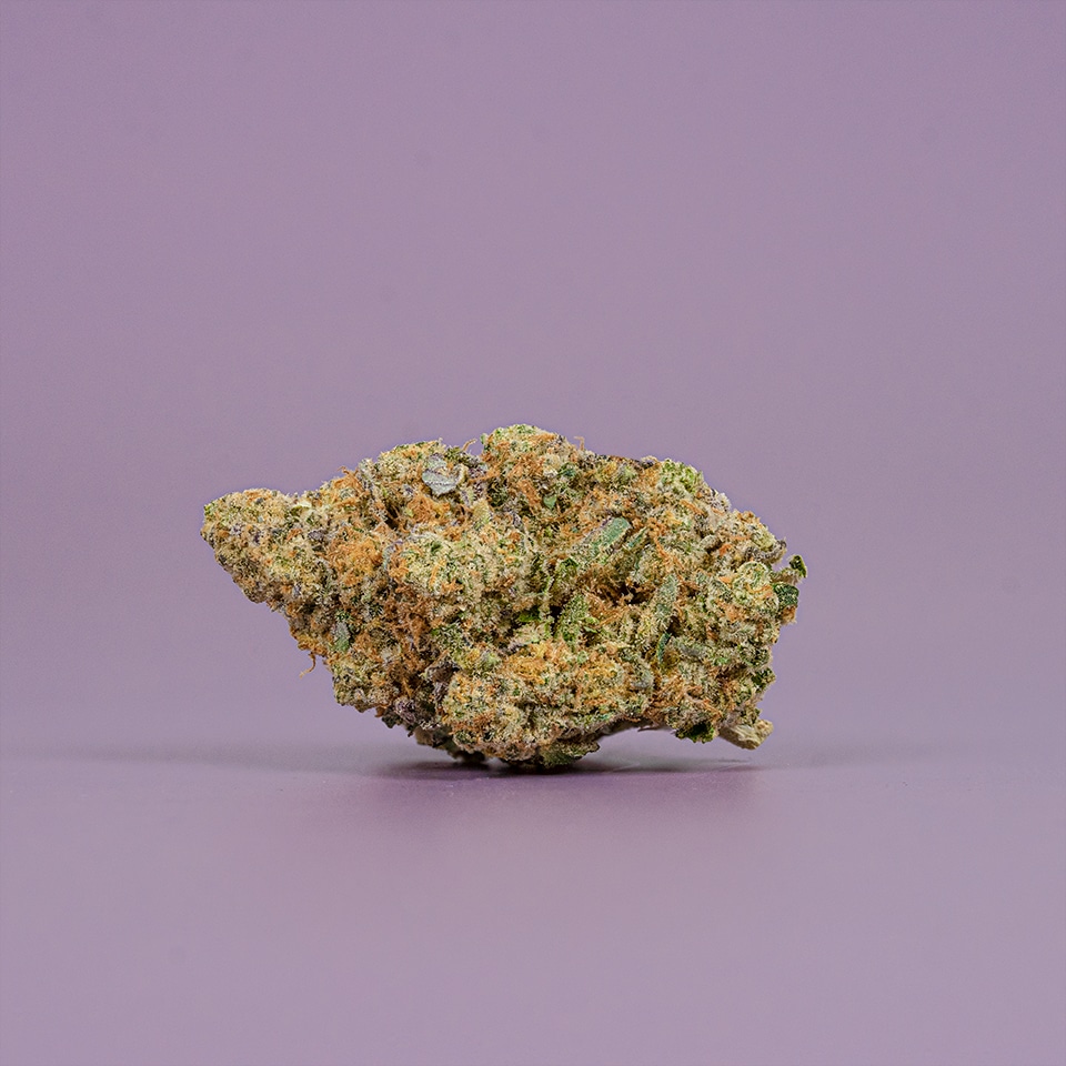 Sunset Fritter Strain Cannabis Strain Information THC Design