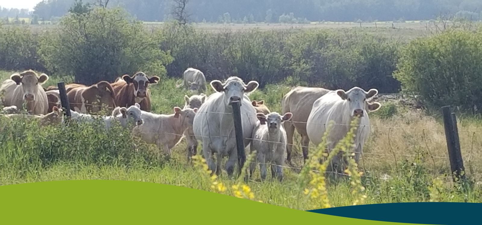 County of Two Hills Public Notice DP 69 2024