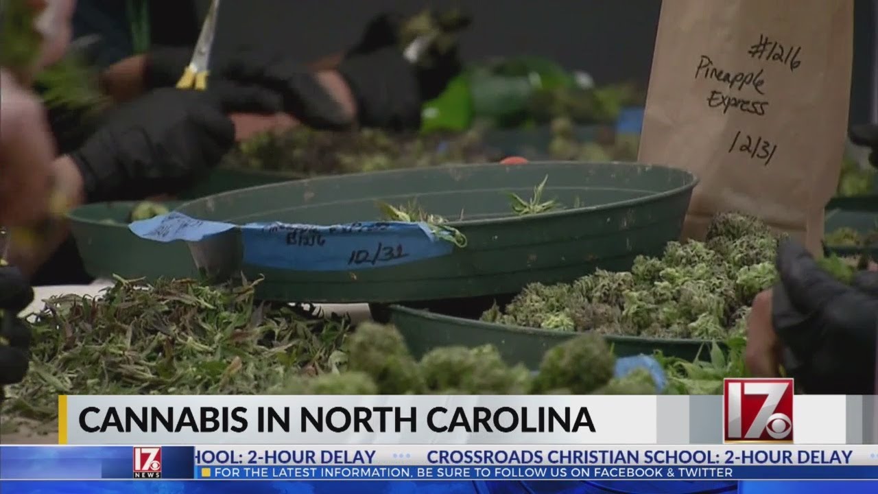 North Carolina lagging behind as marijuana legalization sweeps nation